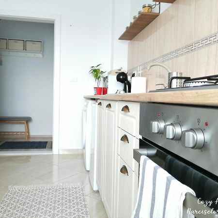 Cozy Apartment Narciselor Suceava Ipotesti  Ngoại thất bức ảnh