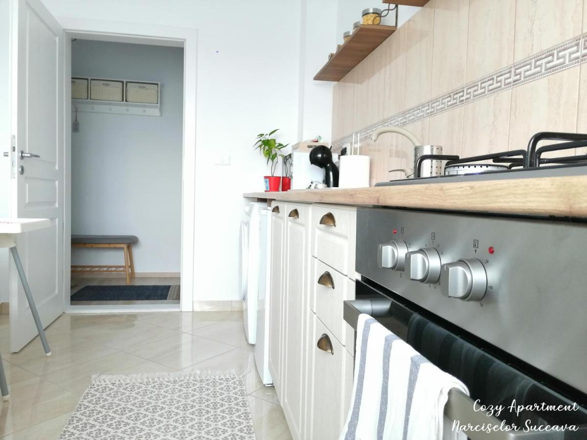 Cozy Apartment Narciselor Suceava Ipotesti  Ngoại thất bức ảnh