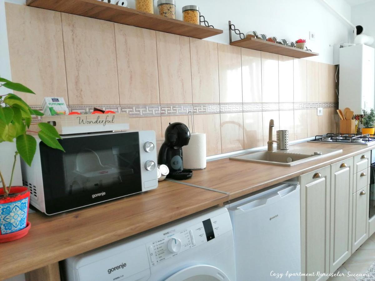 Cozy Apartment Narciselor Suceava Ipotesti  Ngoại thất bức ảnh