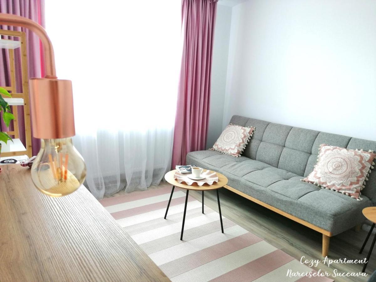 Cozy Apartment Narciselor Suceava Ipotesti  Ngoại thất bức ảnh