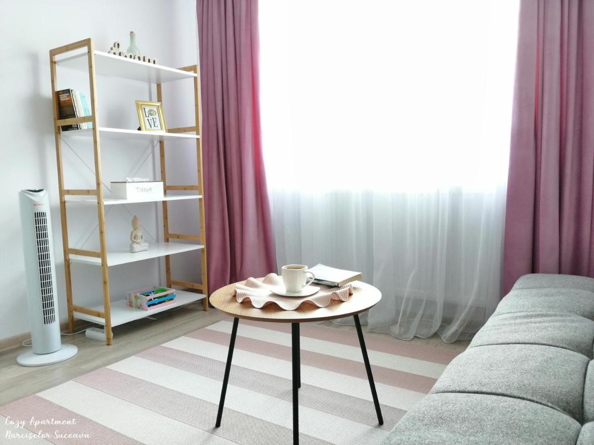 Cozy Apartment Narciselor Suceava Ipotesti  Ngoại thất bức ảnh