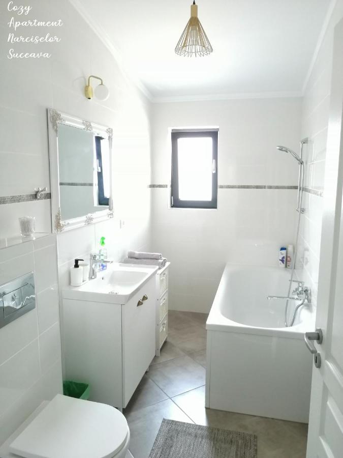 Cozy Apartment Narciselor Suceava Ipotesti  Ngoại thất bức ảnh