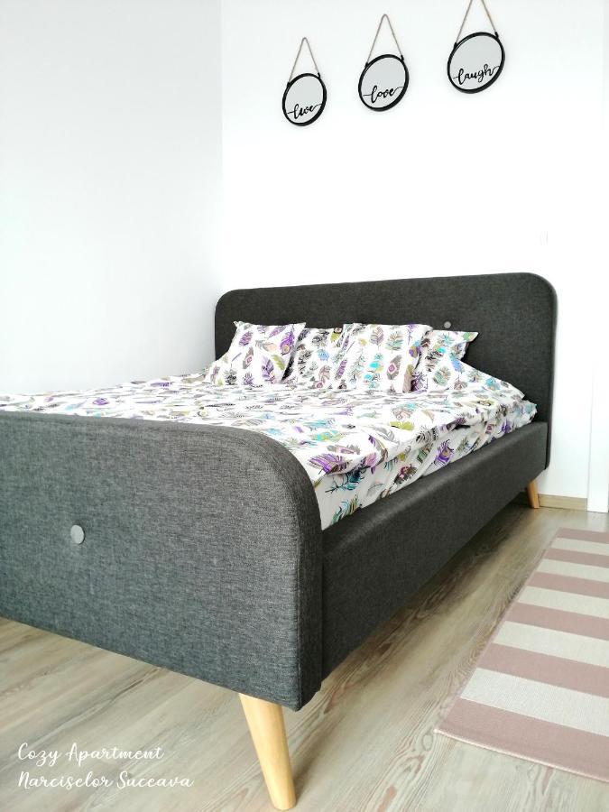 Cozy Apartment Narciselor Suceava Ipotesti  Ngoại thất bức ảnh